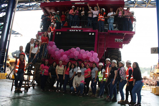 Fuerza laboral de Carbozulia, pintó camión Roquero Rosado en defensa de la igualdad de género