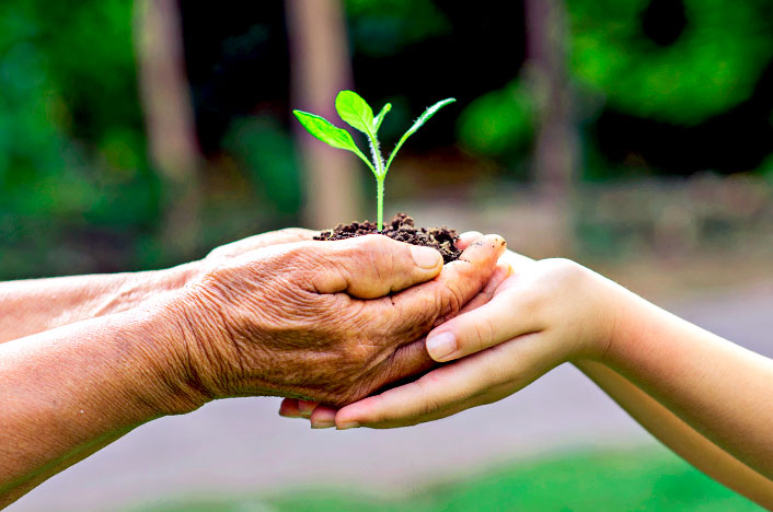 01 de noviembre Día Mundial de la Ecología