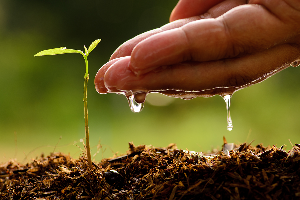 Minería Ecológica en la Venezuela Potencia