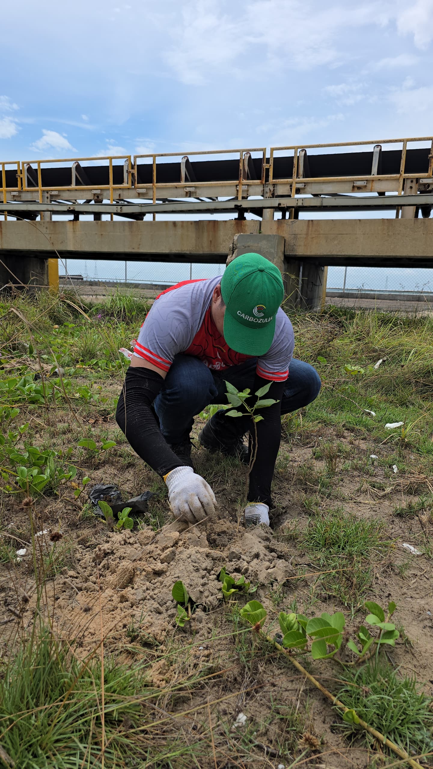 Carbozulia comprometida con el saneamiento ambiental del Lago de Maracaibo