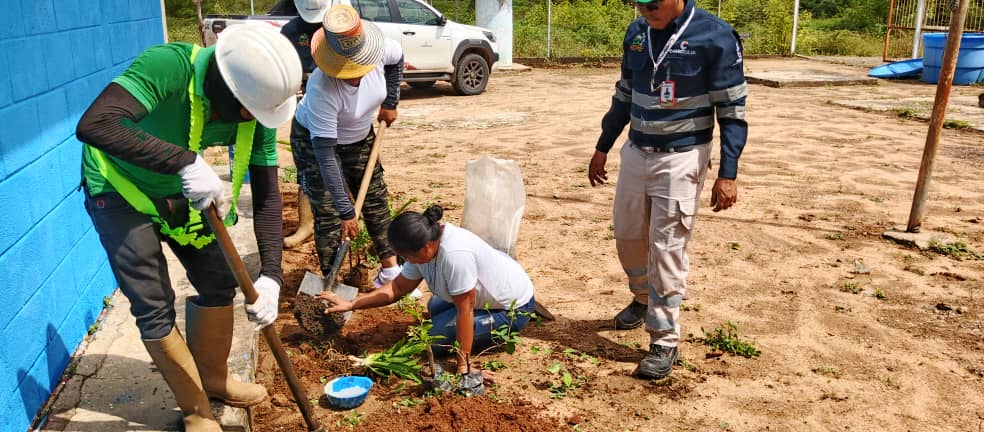 Carbozulia activó Programa de Educación Ambiental en el Zulia