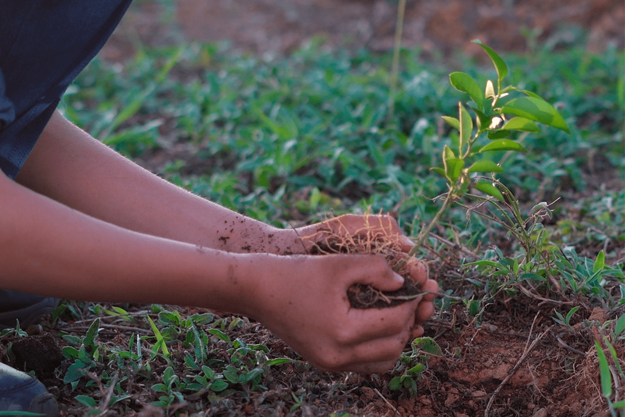 Día Mundial de la Tierra: Historia, Evolución y Compromiso con el Futuro